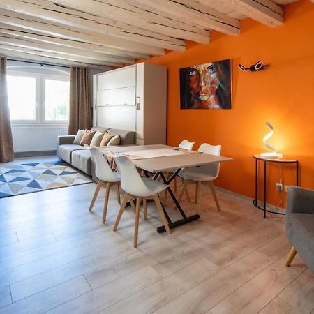 Fitz Roy Annecy Rent Lodge Εξωτερικό φωτογραφία